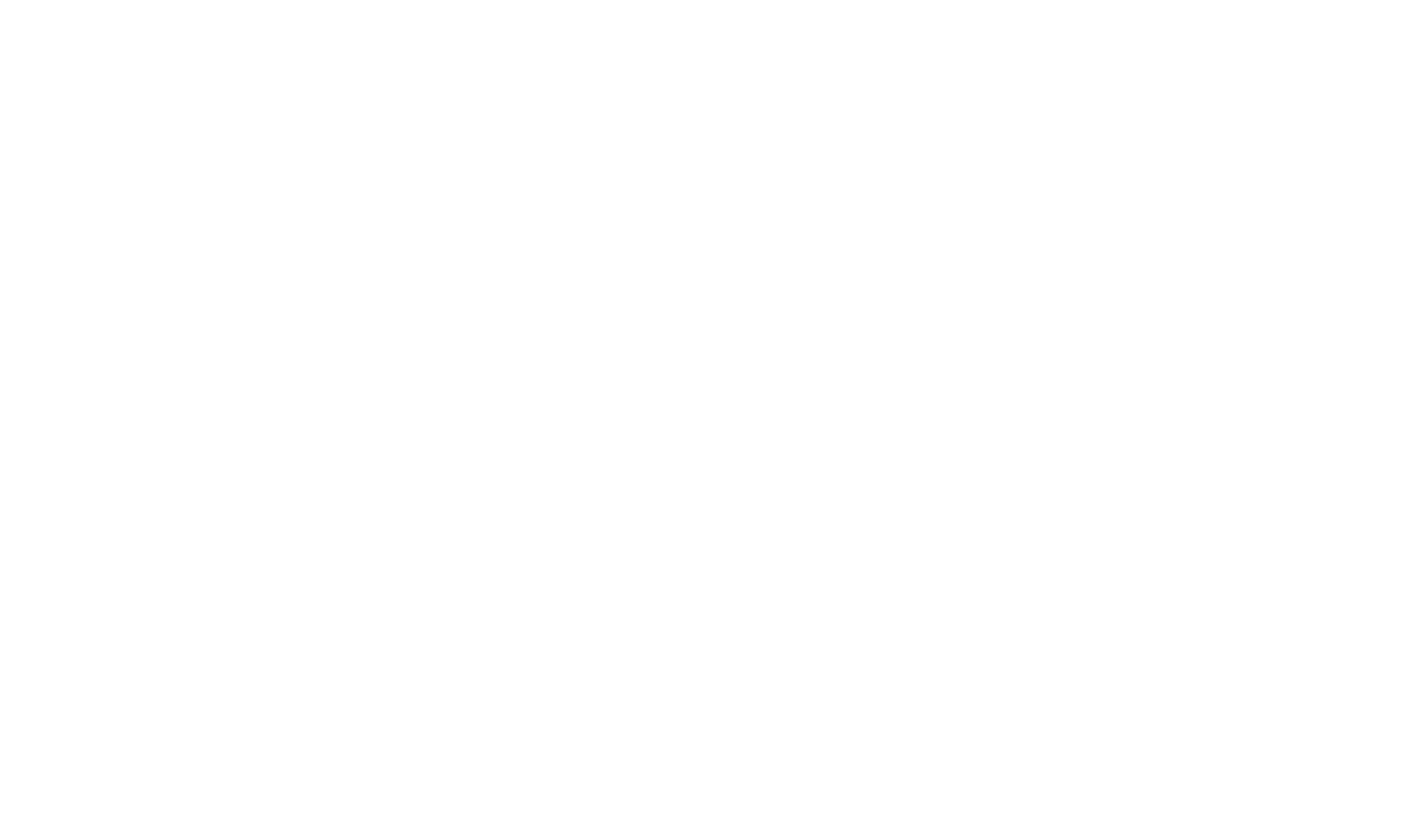 Palm Bay Marketing & SEO white logo